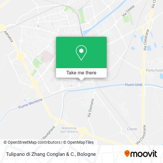 Tulipano di Zhang Conglan & C. map