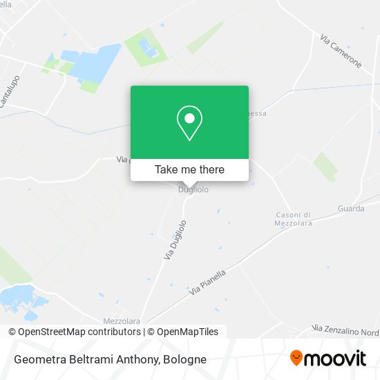 Geometra Beltrami Anthony map