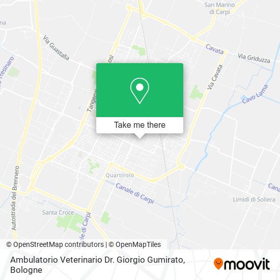 Ambulatorio Veterinario Dr. Giorgio Gumirato map