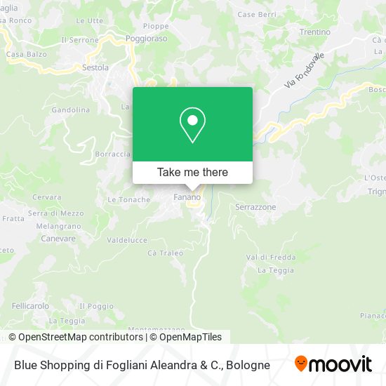 Blue Shopping di Fogliani Aleandra & C. map