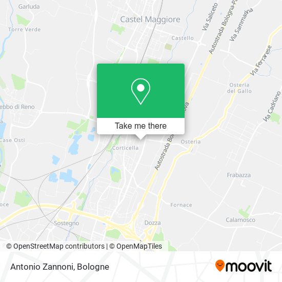 Antonio Zannoni map