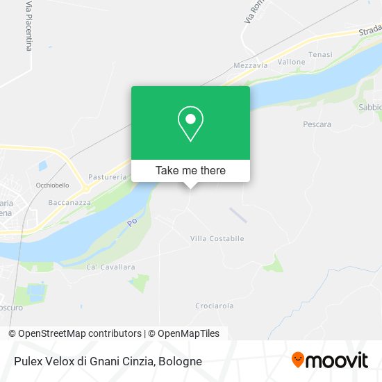 Pulex Velox di Gnani Cinzia map