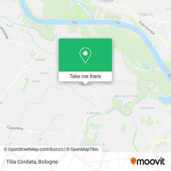 Tilia Cordata map