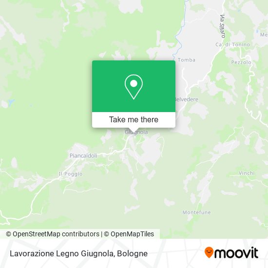 Lavorazione Legno Giugnola map