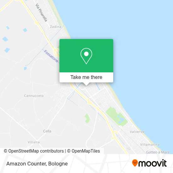 Amazon Counter map