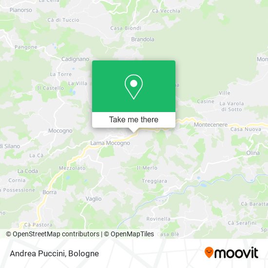 Andrea Puccini map