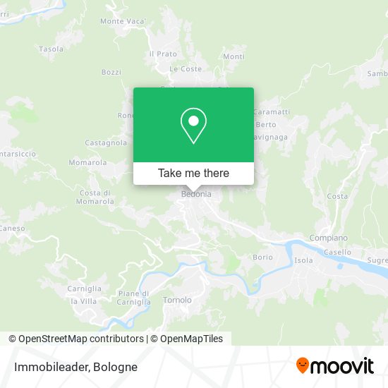 Immobileader map