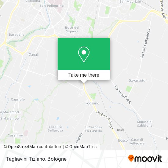 Tagliavini Tiziano map
