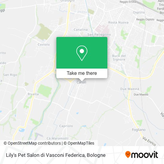 Lily's Pet Salon di Vasconi Federica map