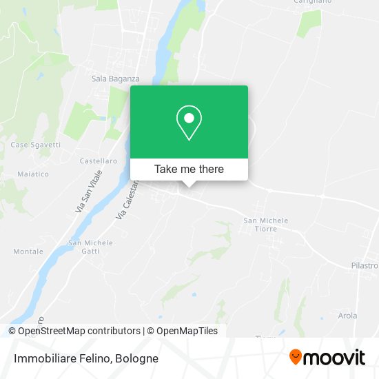 Immobiliare Felino map
