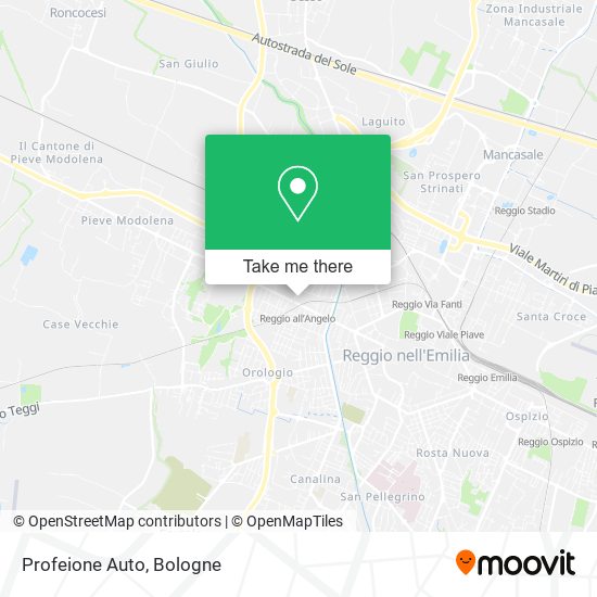Profeione Auto map