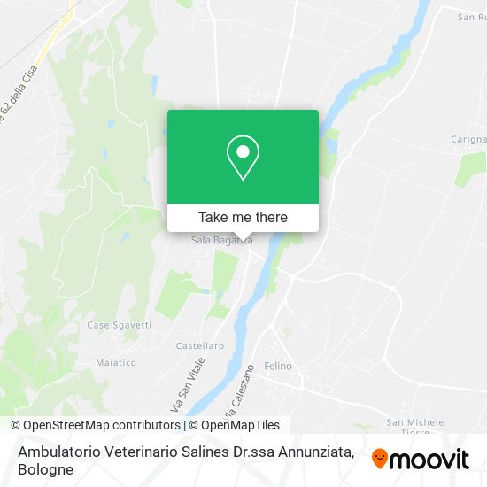 Ambulatorio Veterinario Salines Dr.ssa Annunziata map