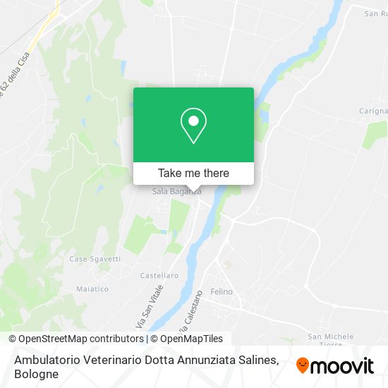 Ambulatorio Veterinario Dotta Annunziata Salines map