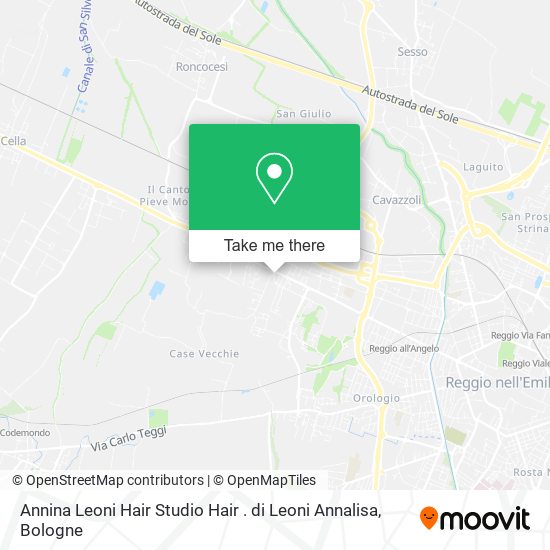 Annina Leoni Hair Studio Hair . di Leoni Annalisa map