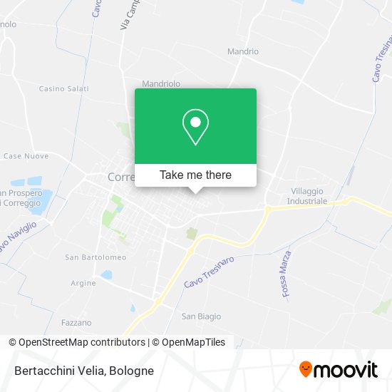 Bertacchini Velia map