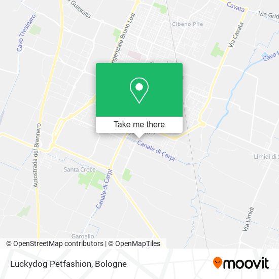 Luckydog Petfashion map