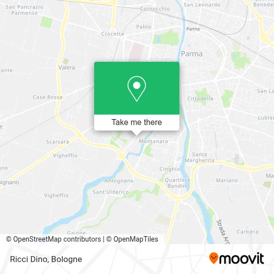 Ricci Dino map
