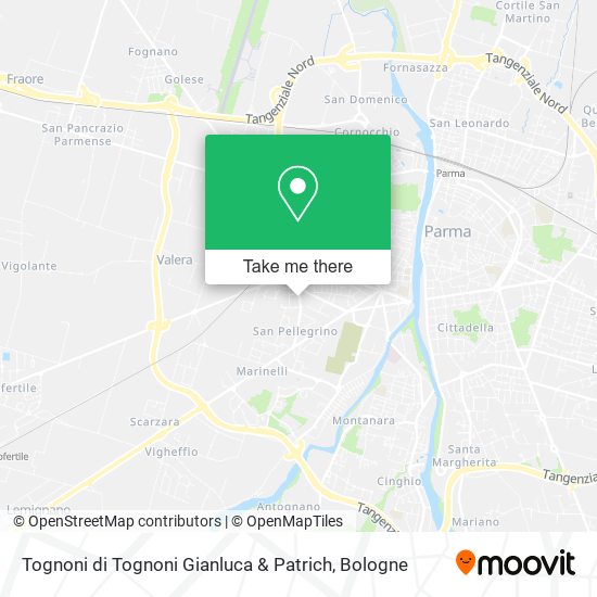Tognoni di Tognoni Gianluca & Patrich map