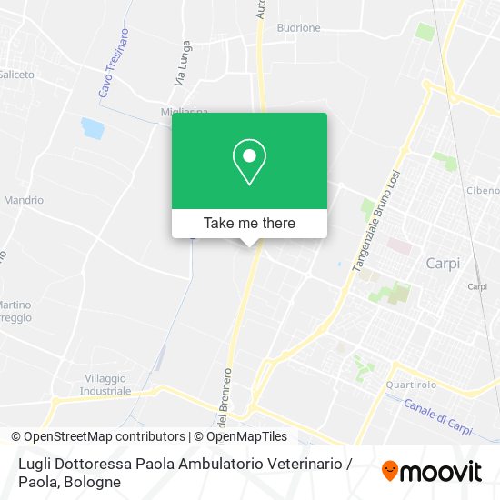 Lugli Dottoressa Paola Ambulatorio Veterinario / Paola map