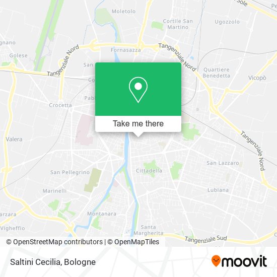 Saltini Cecilia map