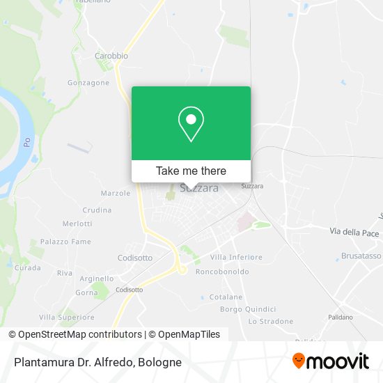 Plantamura Dr. Alfredo map