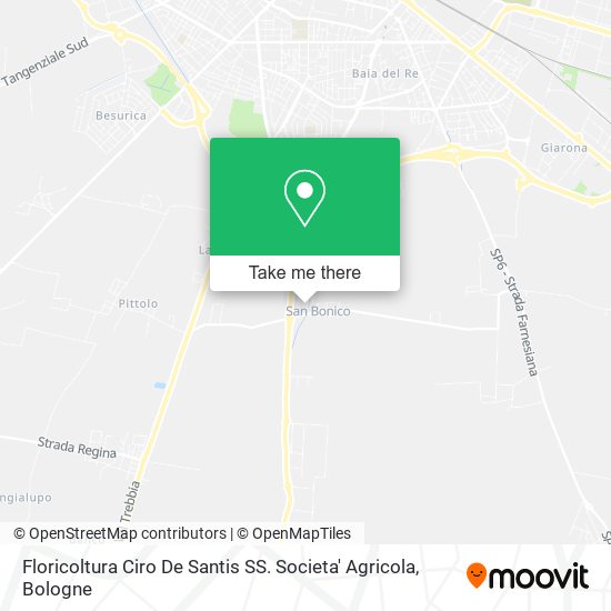 Floricoltura Ciro De Santis SS. Societa' Agricola map