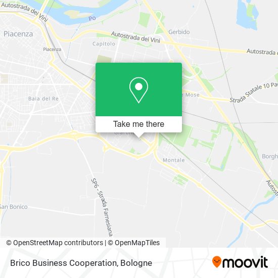 Brico Business Cooperation map