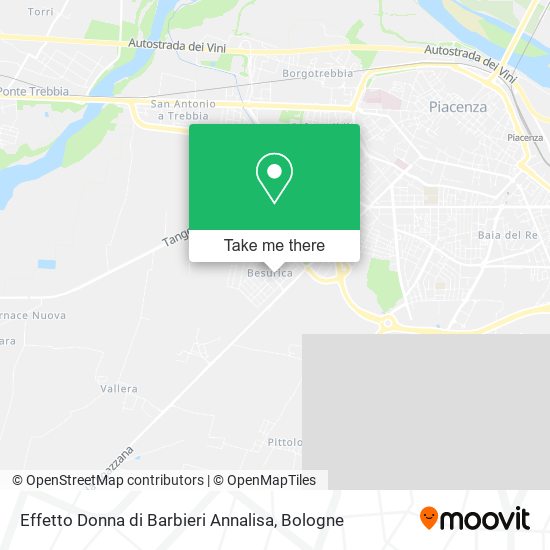 Effetto Donna di Barbieri Annalisa map