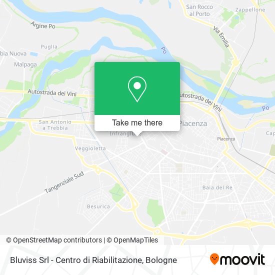 Bluviss Srl - Centro di Riabilitazione map