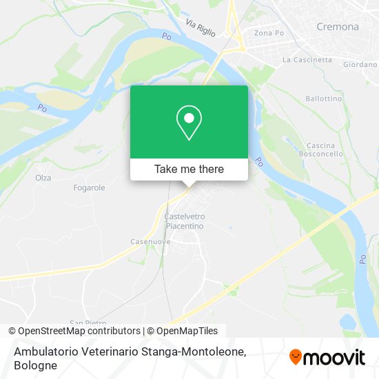 Ambulatorio Veterinario Stanga-Montoleone map