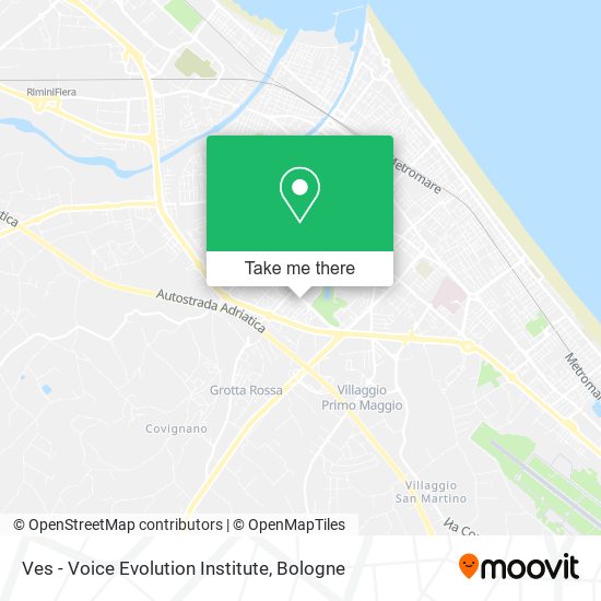 Ves - Voice Evolution Institute map