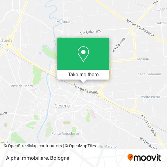 Alpha Immobiliare map