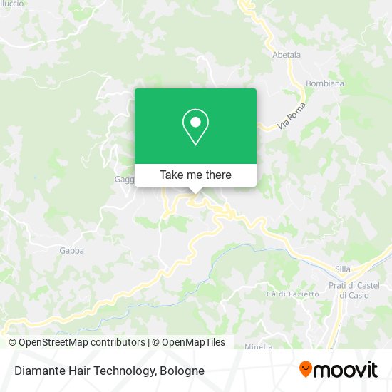 Diamante Hair Technology map