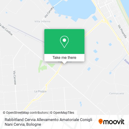 Rabbitland Cervia Allevamento Amatoriale Conigli Nani Cervia map