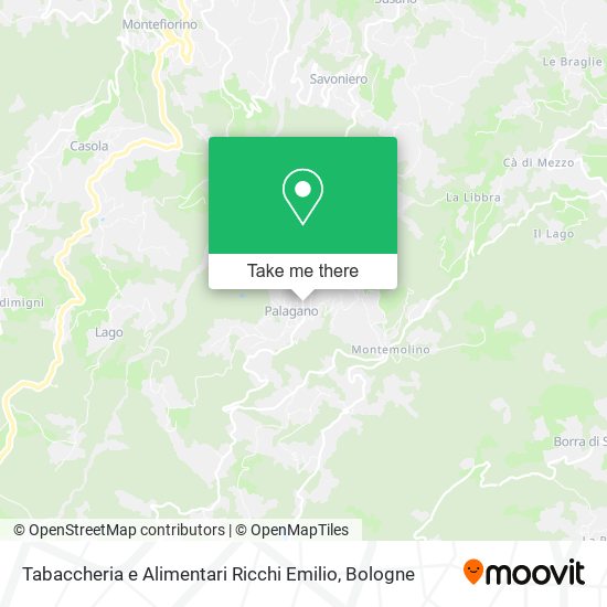 Tabaccheria e Alimentari Ricchi Emilio map
