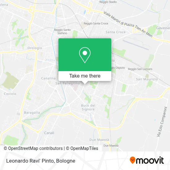 Leonardo Ravi' Pinto map