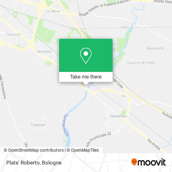 Plate' Roberto map