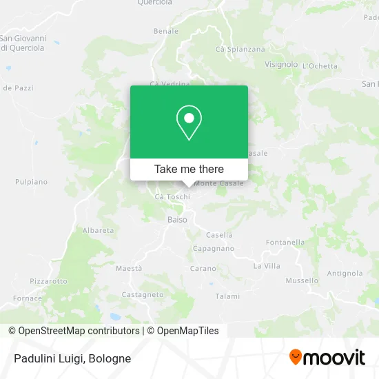 Padulini Luigi map