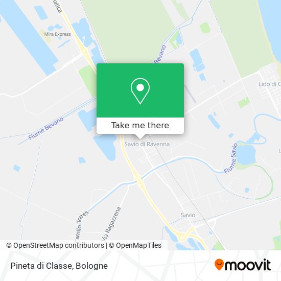 Pineta di Classe map