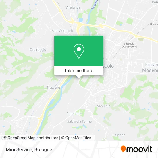 Mini Service map