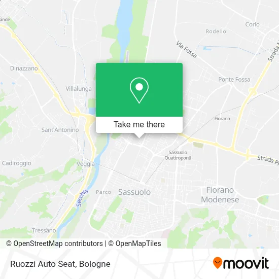 Ruozzi Auto Seat map