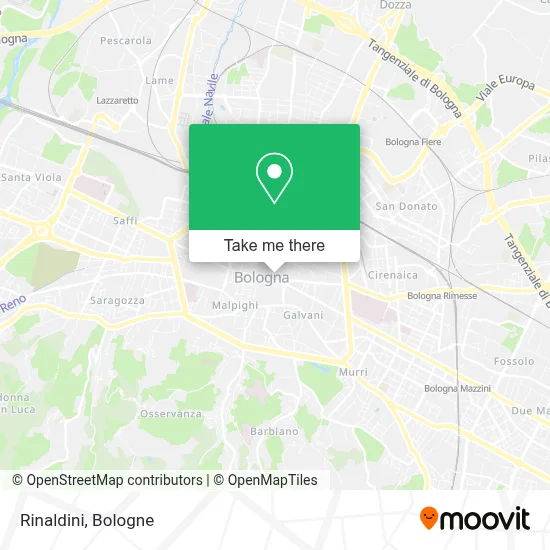 Rinaldini map