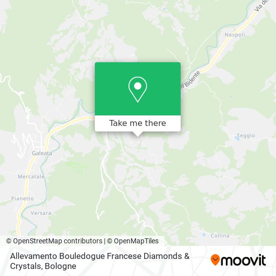 Allevamento Bouledogue Francese Diamonds & Crystals map