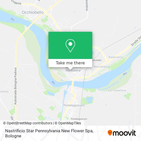 Nastrificio Star Pennsylvania New Flower Spa map