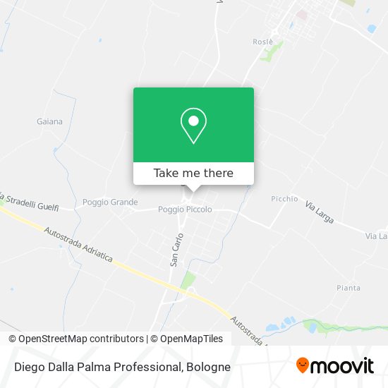 Diego Dalla Palma Professional map
