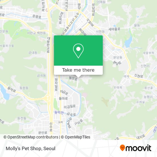 Molly's Pet Shop map