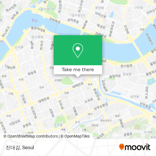 진대감 map