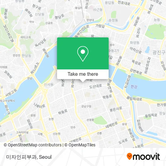 미자인피부과 map