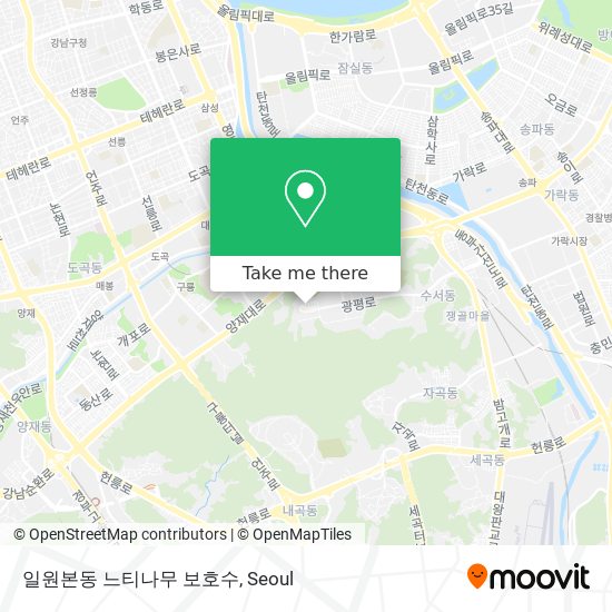 일원본동 느티나무 보호수 map