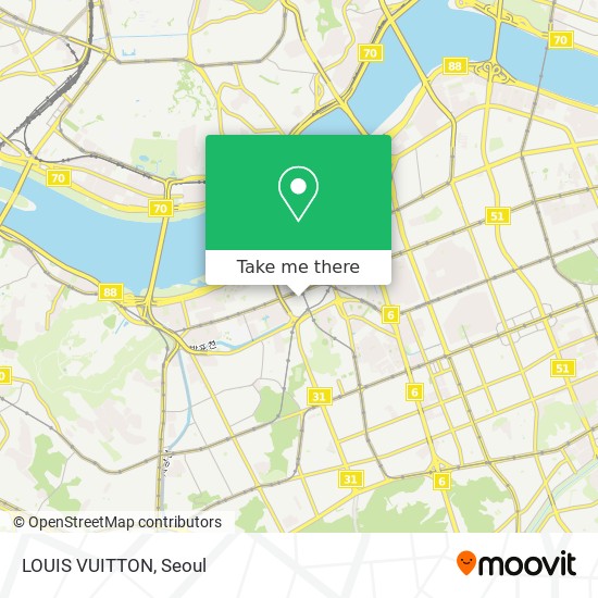 LOUIS VUITTON map